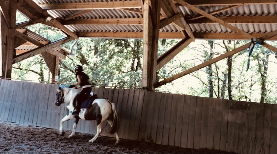 Ecole d'équitation - Ecurie Qualina