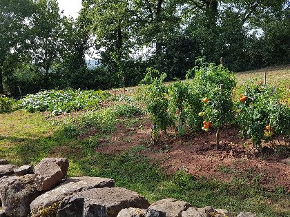 Chantal Viguier-Castanie, 