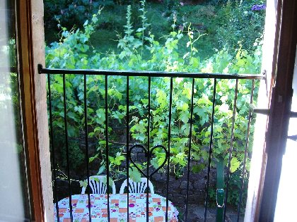 COT Christophe, OFFICE DE TOURISME DU ROUGIER DE CAMARES