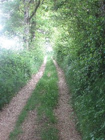 Anne Loubière, Anne Loubière