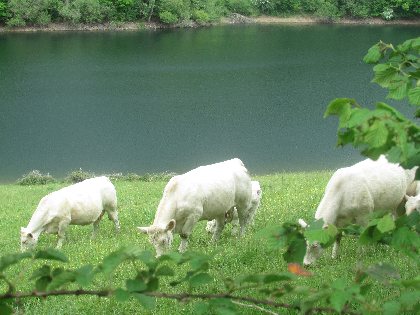 Anne Loubière, Anne Loubière