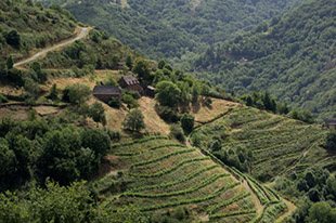 La route des vins - Entraygues-sur-Truyère - Le Fel, Comité Départemental du Tourisme de l'Aveyron