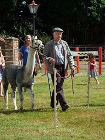 Duprem Alpaga - visite et boutique, OFFICE DE TOURISME REGIONAL DE VILLEFRANCHE DE ROUERGUE
