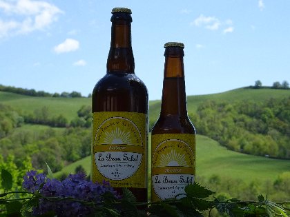 Brasserie La Beau Soleil (groupes), 