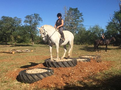 Centre équestre du Château de Laumiere, OT Villefranche-Najac