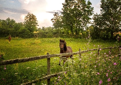Château de Laumiere chambre d'hôtes, OT Villefranche-Najac