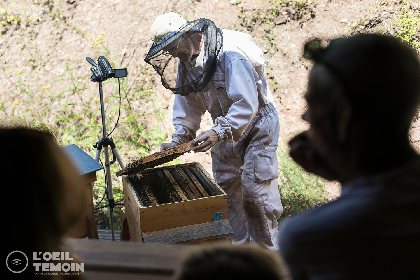 L'Arc en Miel offers an educational guided visit at the heart of the world of honeybees