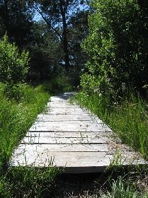 Sentier d'observation botanique et écologique du bois de Laguiole, OFFICE DE TOURISME DE LAGUIOLE