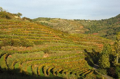 La route des vins de Marcillac, 