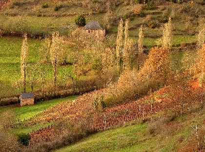 La route des vins de Marcillac, 