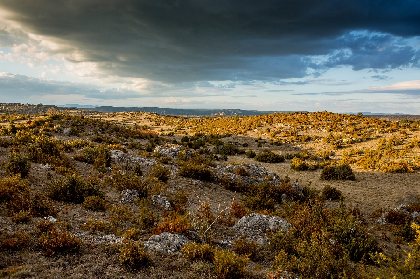 Le GR® 71 C et D - Le tour du Larzac, 