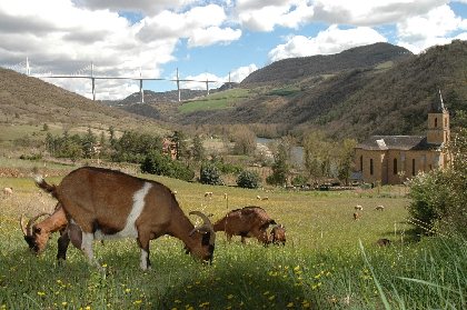 Circuit les trois causses, 
