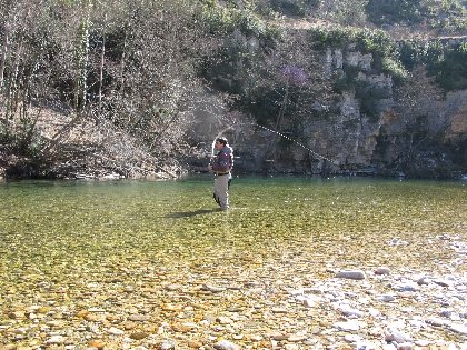 Le Tarn, © Fédération de Pêche de l'Aveyron