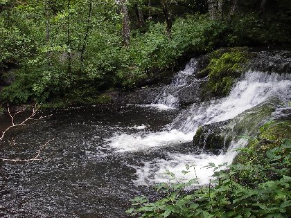 Le Durzon, © Fédération de Pêche de l'Aveyron