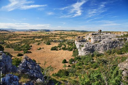 Des gorges de la Dourbie au plateau du Larzac, 