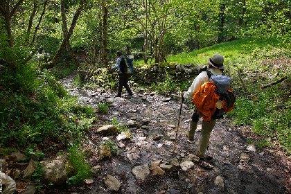 Le GR®65 - Le chemin de Saint-Jacques de Compostelle : Étape n° 2 : Saint-Côme-d'Olt – Estaing, 