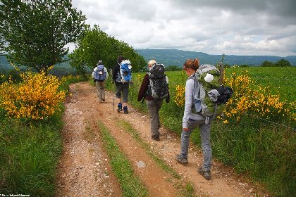 Le GR®65 - Le chemin de Saint-Jacques de Compostelle : Étape n° 4 : Golinhac – Conques, 