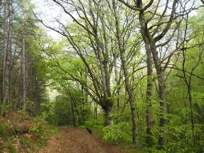 Le Couvent, OFFICE DE TOURISME DU PAYS SEGALI
