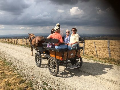 Les écuries du Verdier, balades en calèche  , Office de tourisme Argences en Aubrac