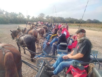 Les écuries du Verdier, balades en calèche  , Office de tourisme Argences en Aubrac