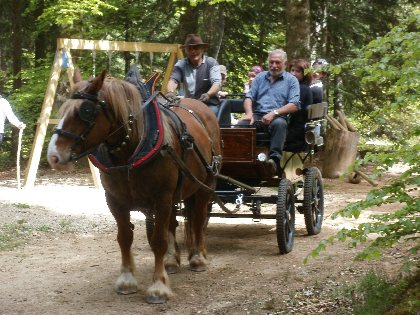 Les écuries du Verdier, balades en calèche, Office de tourisme Argences en Aubrac