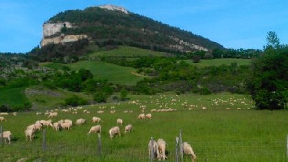 Vue sur le Combalou, C. VESY