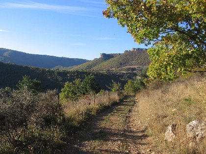 Sur le chemin du retour, OT LARZAC VALLEES - S. PEREGO