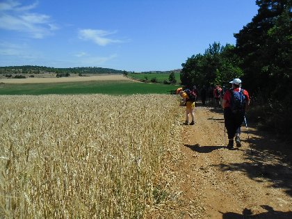 De Causses en Cévennes, OT Larzac et Vallées - S. PEREGO