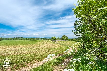 Randonnée Le Puech du Mus, ©Virgine Govignon - OT Larzac et Vallées