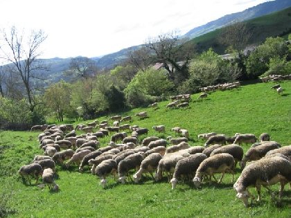 Randonnée Le Puech du Mus, Association LA CASE - F. Poignon