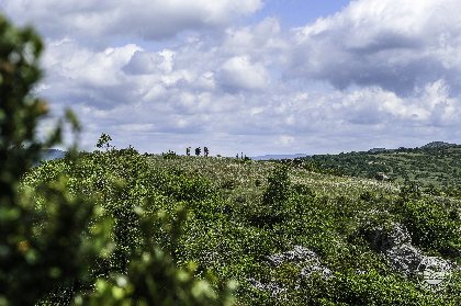 Randonnée Le Trail, ©Virginie Govignon - OT Larzac et Vallées