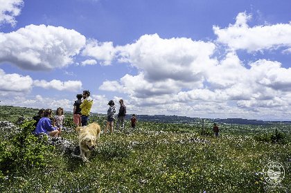 Randonnée Le Trail, ©Virginie Govignon - OT Larzac et Vallées