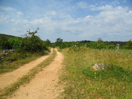 Randonnée Au coeur du Causse, OFFICE DE TOURISME LARZAC VALLEES - S. PEREGO