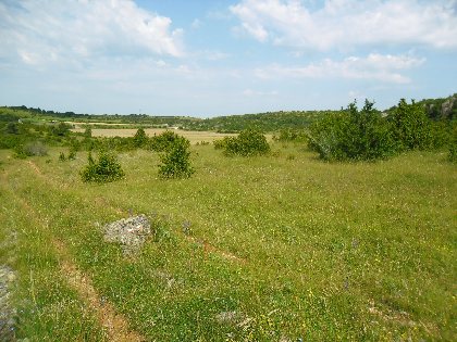 Randonnée Au coeur du Causse, OFFICE DE TOURISME LARZAC VALLEES - S. PEREGO