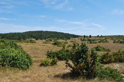 Randonnée Sur les pas de l'Abbé Coste, Association La Tour du Viala du Pas de Jaux