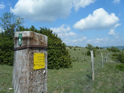 Randonnée De Saint-Jean d'Alcas au plateau de Mascourbes, Delphine ATCHE