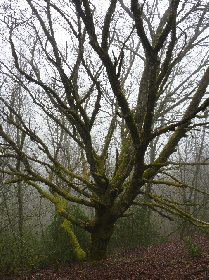Randonnée Autour de Moulès, Centre de vacances Le Hameau de Moulès