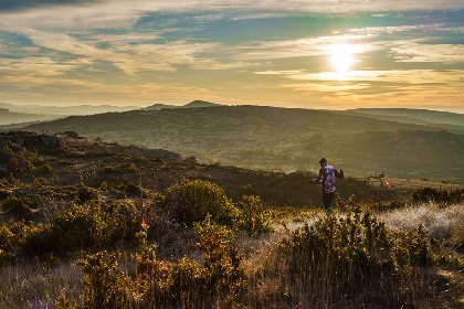 Hivernale Des Templiers, Shoot'in Factory www.gregalric.com