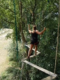 Antipodes Arbres et Cimes - Parcours dans les arbres , Antipodes