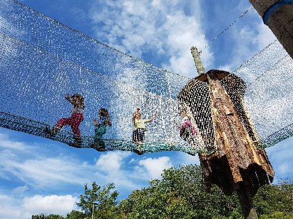 Antipodes Arbres et Cimes - Parcours dans les arbres , Antipodes