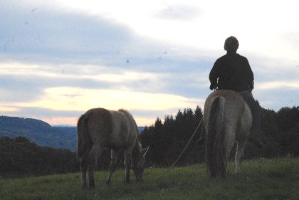 Tourisme équestre La Ferme des Esprits Sauvages  - à cheval, 