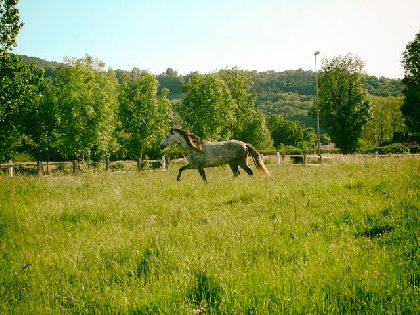 La Ferme des Esprits Sauvages, 