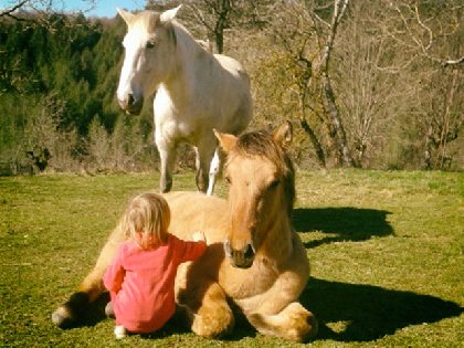La Ferme des Esprits Sauvages, 