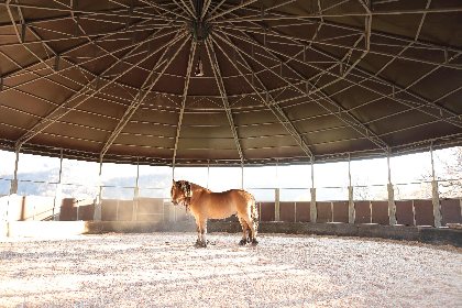 Tourisme équestre La Ferme des Esprits Sauvages  - à cheval, 
