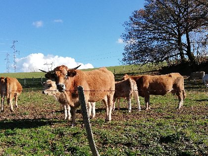 Lande de Mayrinhac, OFFICE DE TOURISME DU CANTON DE MUR DE BARREZ