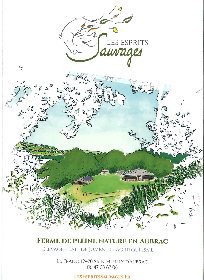 Les Esprits Sauvages - flyer, 