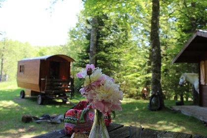 Les Esprits Sauvages - Roulotte location, 