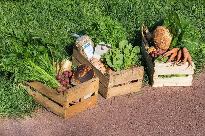 La Ferme du Bousquet, OFFICE DE TOURISME PAYS DU ROQUEFORT 