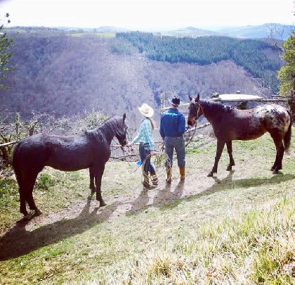 Roc'Aubrac - école d'équitation Western, 