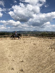 Roc'Aubrac - école d'équitation Western, 